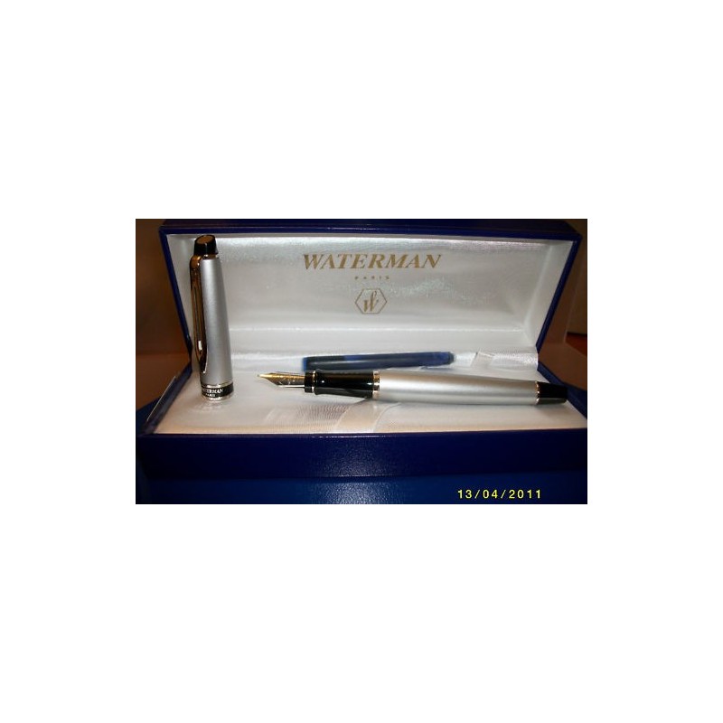 Pluma Waterman Expert II Acero  Mate.